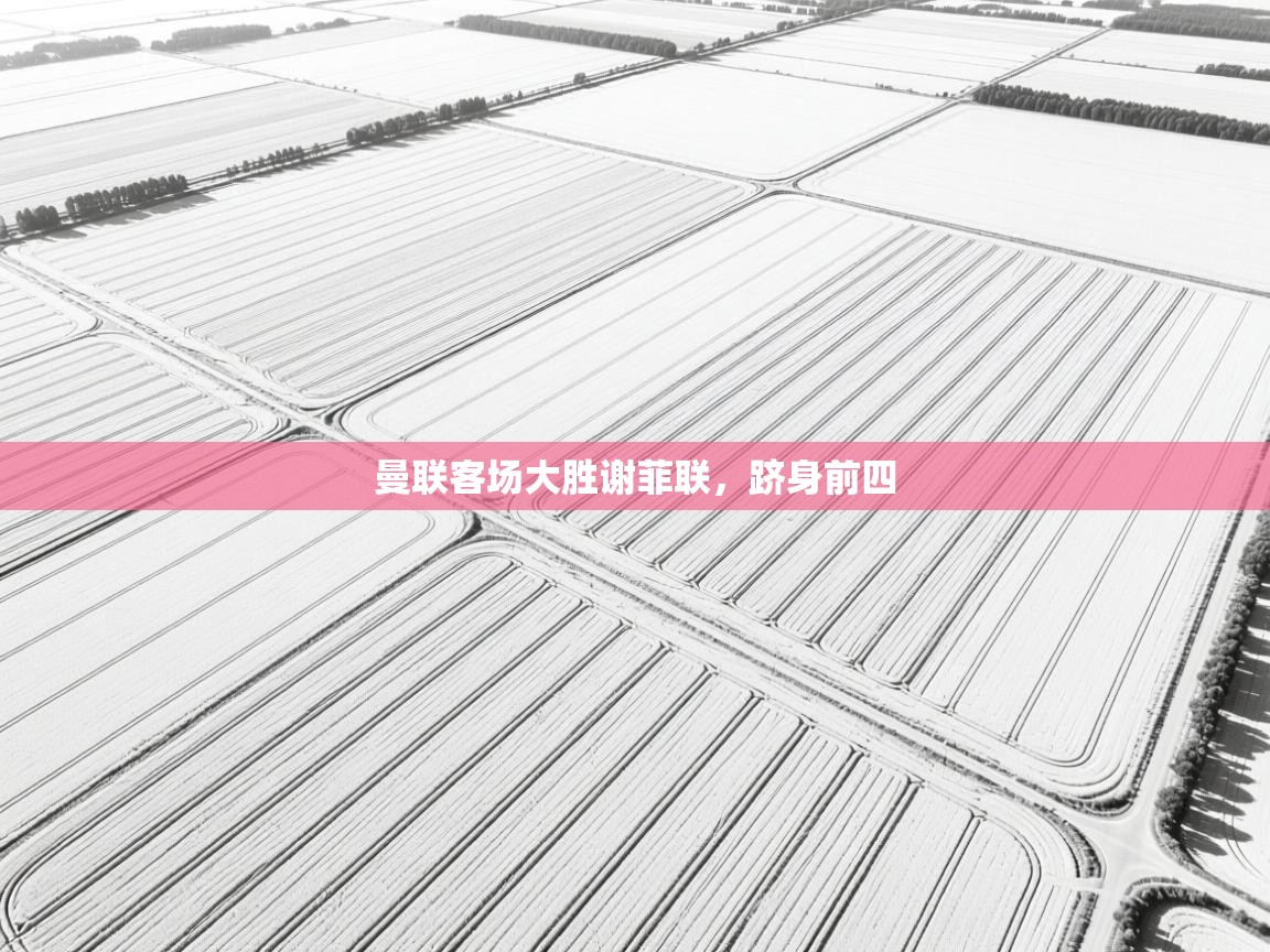 曼联客场大胜谢菲联,跻身前四 第1张