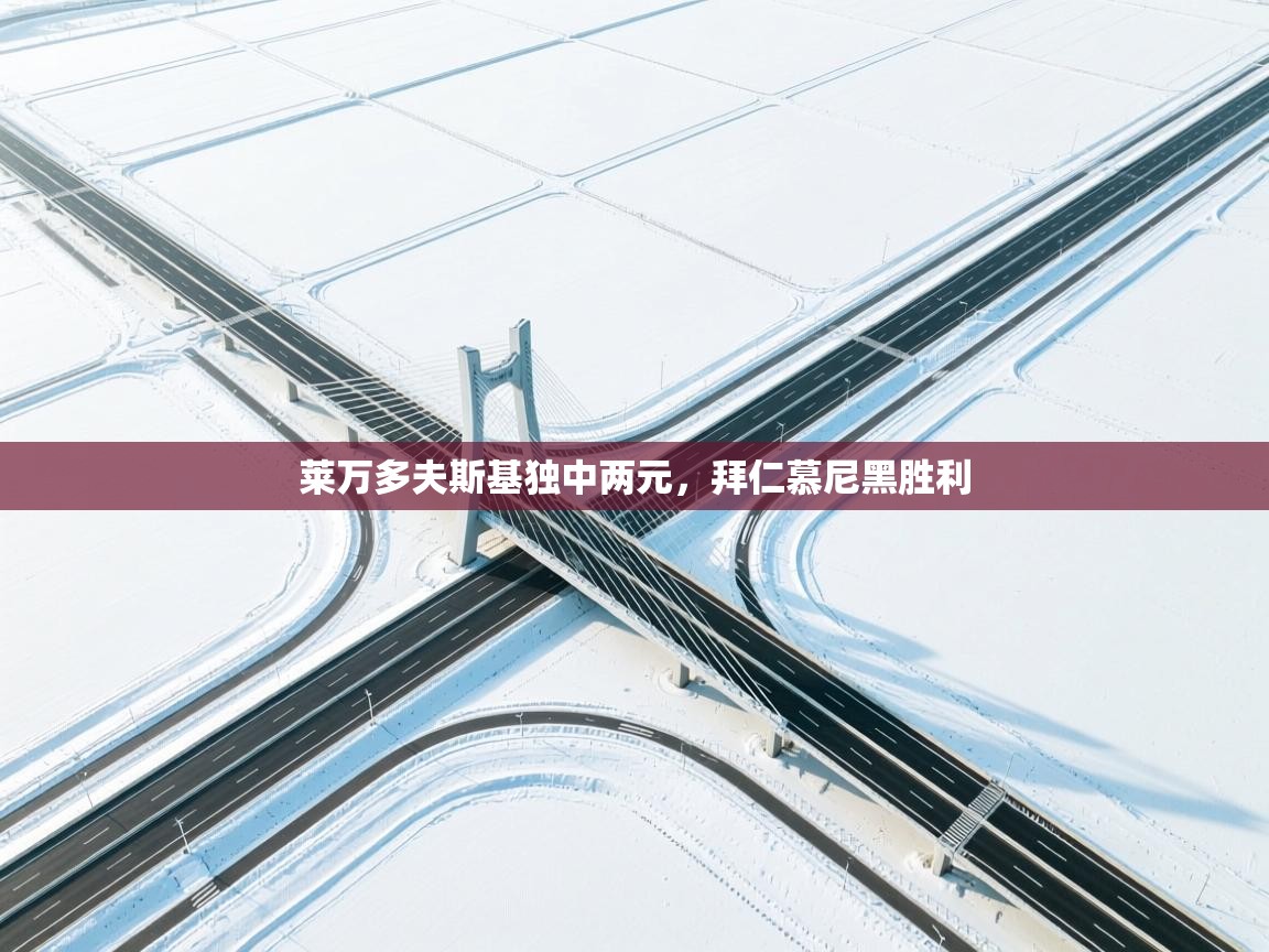 莱万多夫斯基独中两元，拜仁慕尼黑胜利  第1张