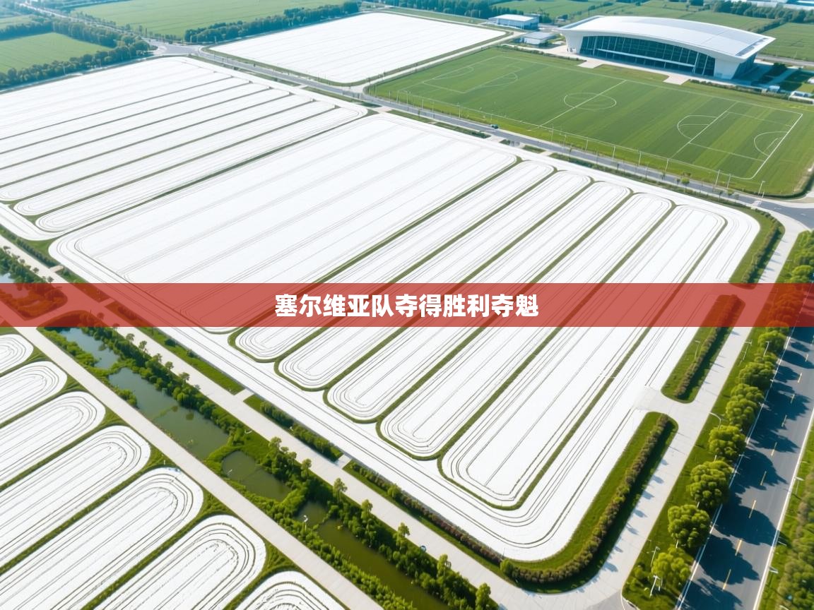 塞尔维亚队夺得胜利夺魁 第1张