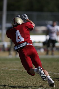 半岛体育入口-河床赛前训练公开，备战世俱杯冲刺