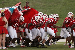 半岛体育app安装-河床赛前战术培训，提升比赛执行力