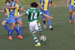 半岛综合体育官方app下载-塔斯马尼亚联主场优势明显，球迷期待逆转奇迹